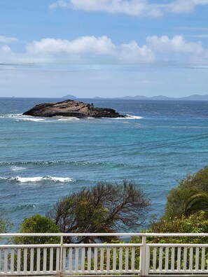 Niet-geclassificeerde afbeelding, 3 van 14, knop