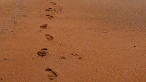 Una playa arenosa con huellas que conducen al agua, cielo despejado y edificios a lo lejos.