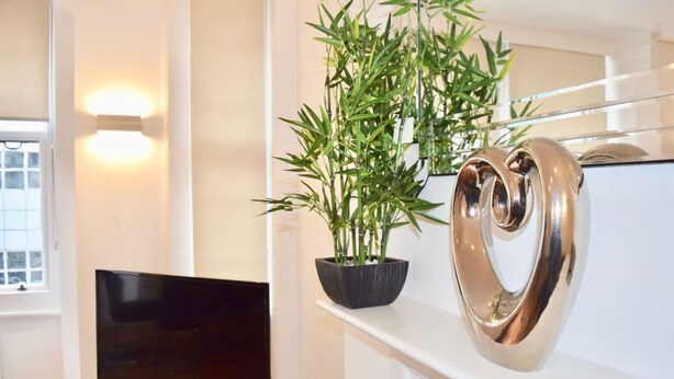 Un interior moderno con una televisión, una escultura metálica con forma de corazón y una planta de bambú.