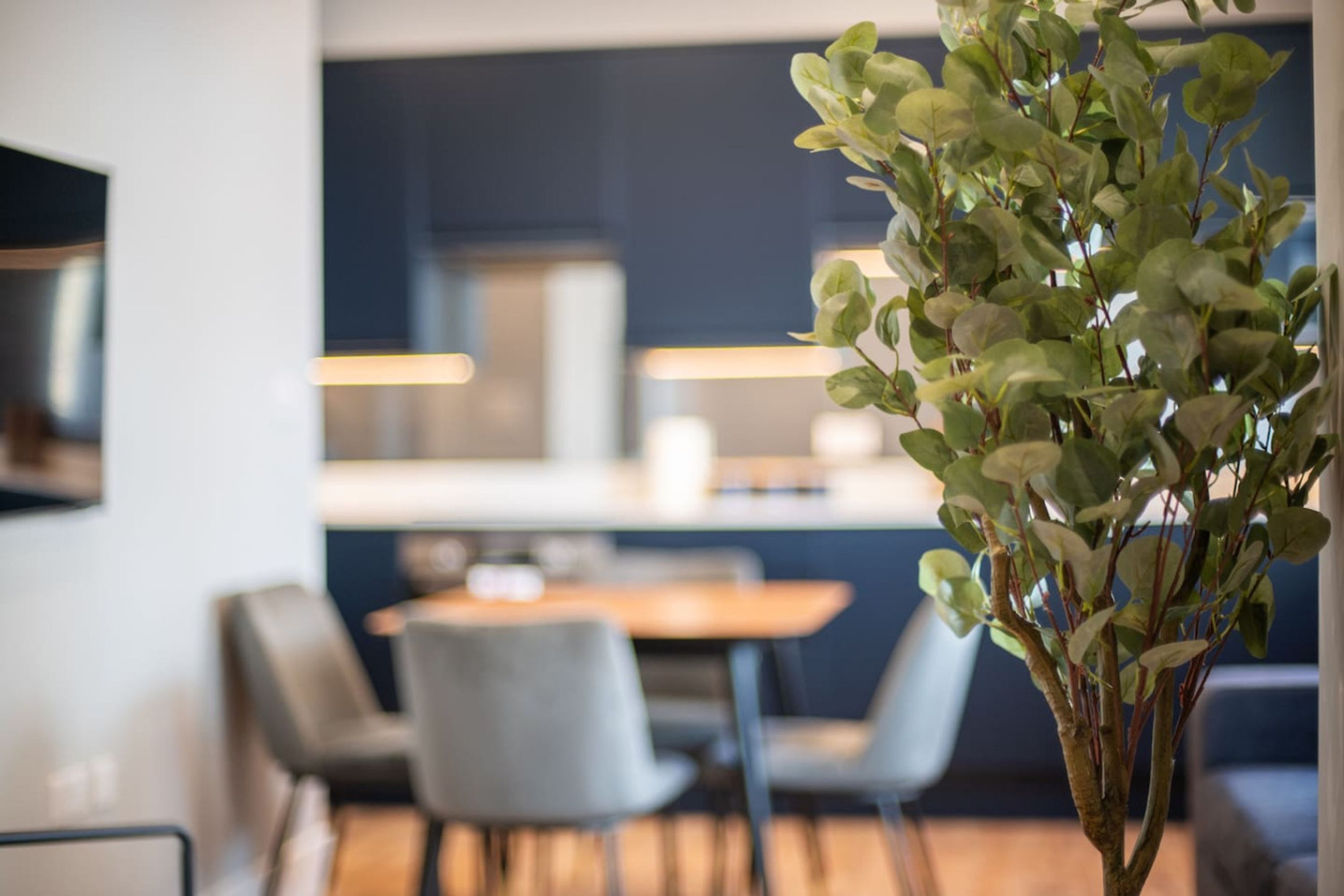 2 habitaciones 