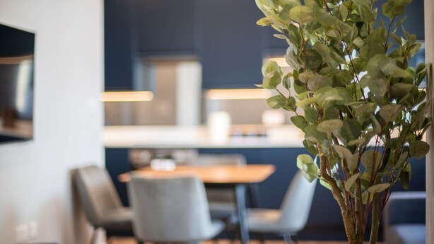 A modern dining area with a wooden table and grey chairs, a vase with green foliage, and a dark blue wall in the background. - Trendy Islington Flat Us74 (London)