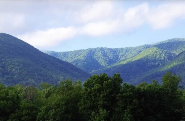 Luokittelematon kuva, 1 kautta 21, painike