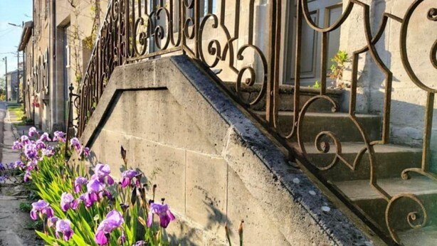 A concrete staircase with ornate metal railings leading to a building entrance.