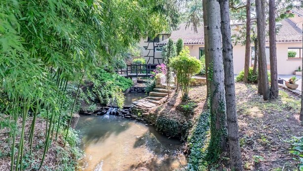 Un jardin paisible avec une petite cascade, des marches en pierre et une végétation luxuriante.