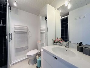 Casa de banho moderna com chuveiro italiano, sanita e lavatório grande com espelho em cima.