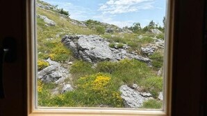 Ovi, jossa on ikkuna, josta näkyy kivinen ulkomaisema, jossa on ruohoa ja keltaisia kukkia.