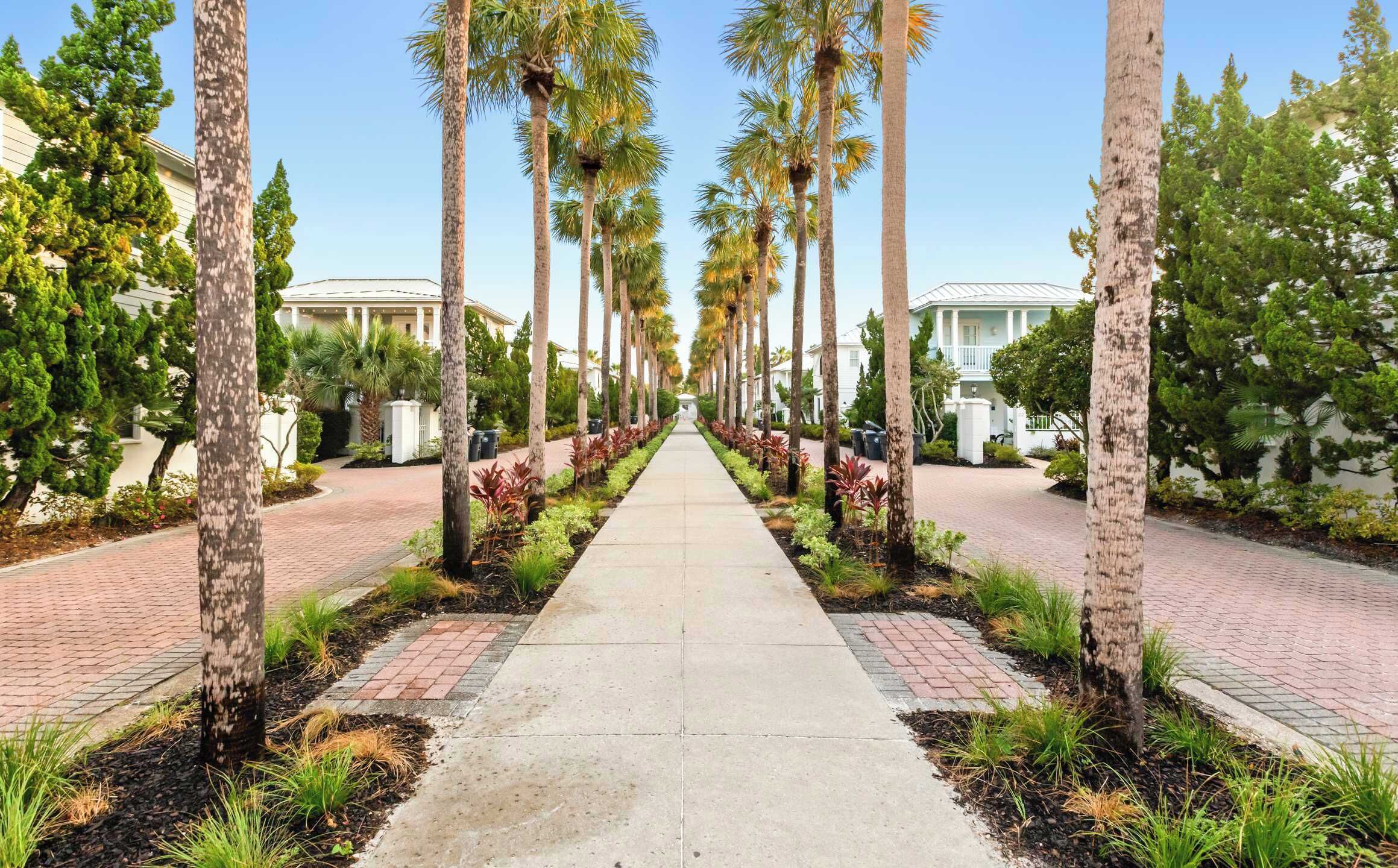 A pathway lined with palm trees leading to a building with a white facade and columns.