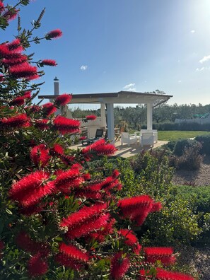 Terrace/patio - House surrounded by olive grove 900mt from the sea (Orosei)