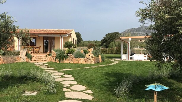 A house with a stone pathway leading to a patio area. - House surrounded by olive grove 900mt from the sea (Orosei)