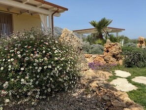 Exterior detail - House surrounded by olive grove 900mt from the sea (Orosei)