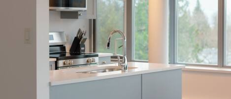 Deluxe-Penthouse | Eigene Küche