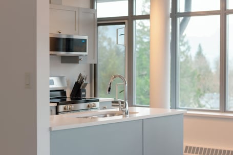 Deluxe Penthouse | Private kitchen. Carey Lodge