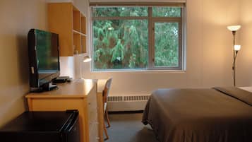 Economy Single Room, Courtyard View | Desk, laptop workspace, iron/ironing board, free WiFi