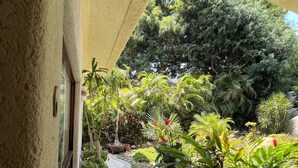 Un sentier abrité mène à un jardin luxuriant, où l’on trouve une variété de plantes et, au fond, un grand arbre.