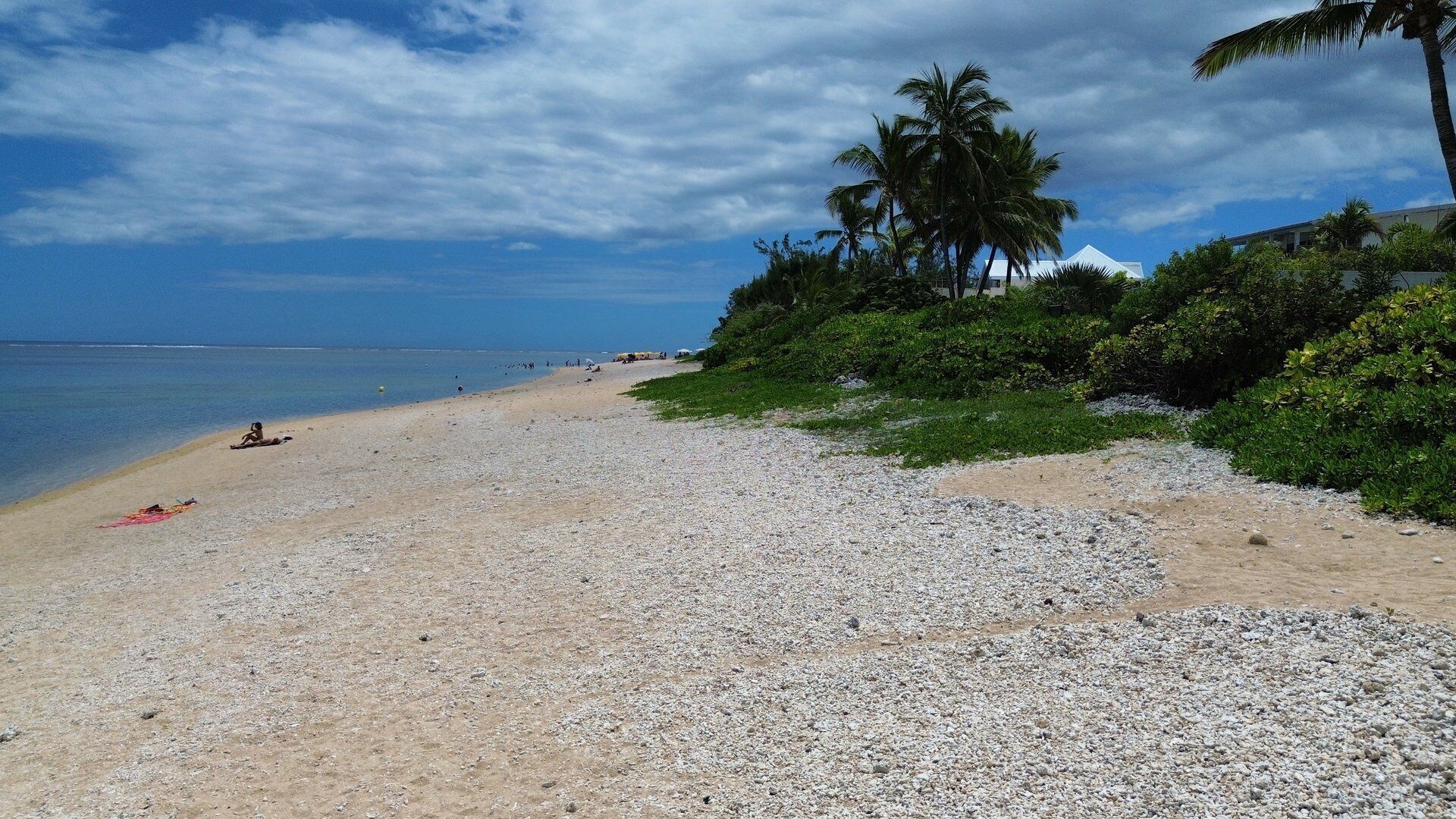 Une plage de galets bordée de palmiers, sous un ciel dégagé.