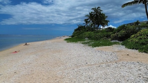 Una playa de guijarros con palmeras y un cielo despejado.