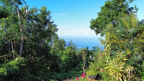 Niet-geclassificeerde afbeelding, 3 van 14, knop