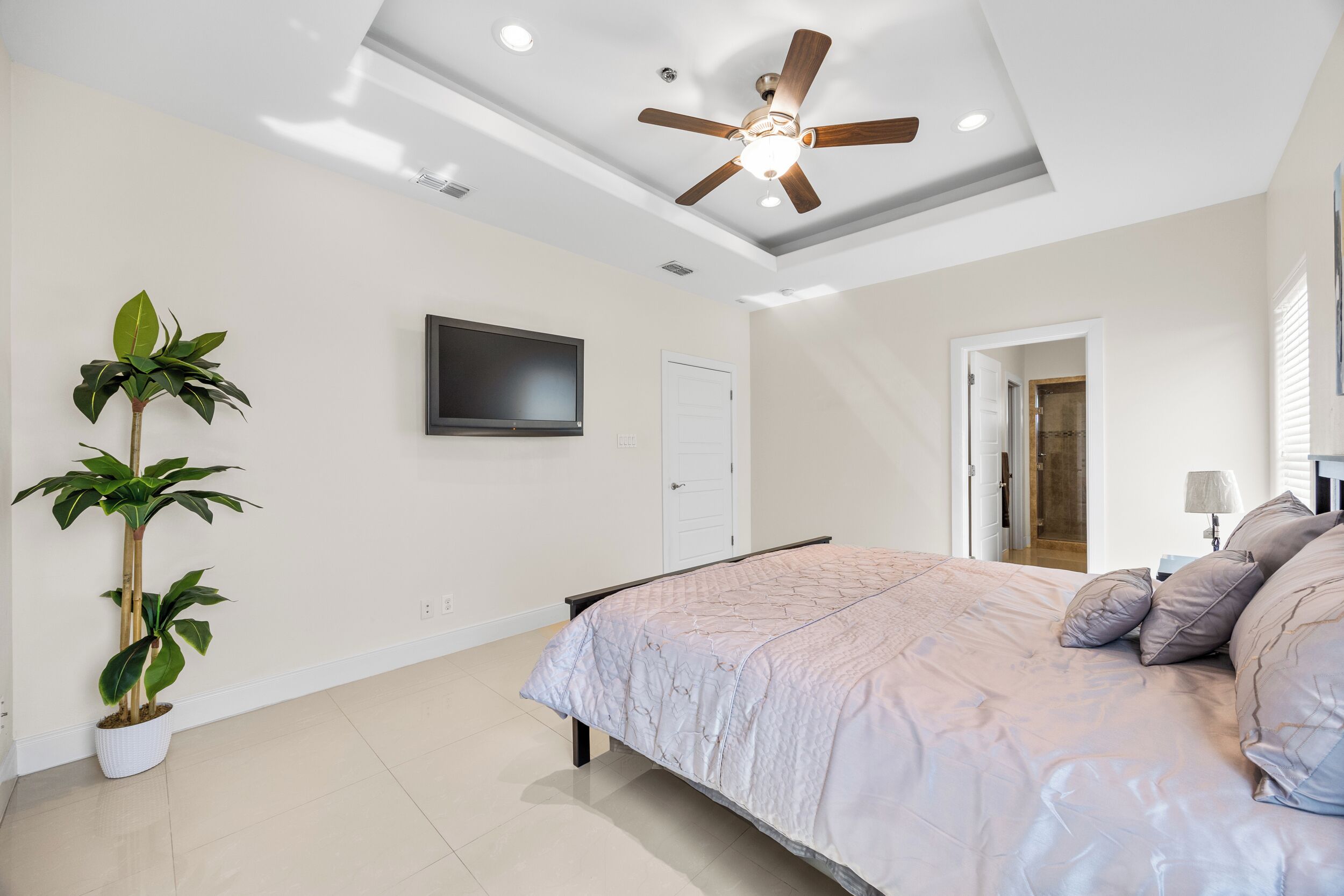 Un dormitorio con cama, ventilador de techo, televisor, puerta y plantas en macetas.