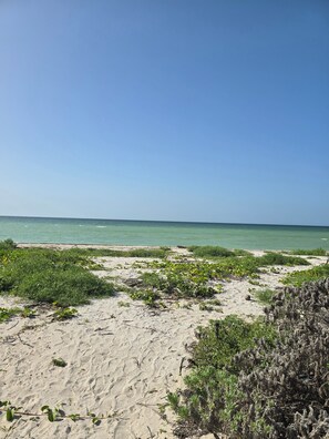 Beach - Villa Bélgica : Quiet, equipped and close to the sea with rooftop. (San Benito)