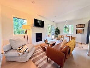 TV, fireplace, books