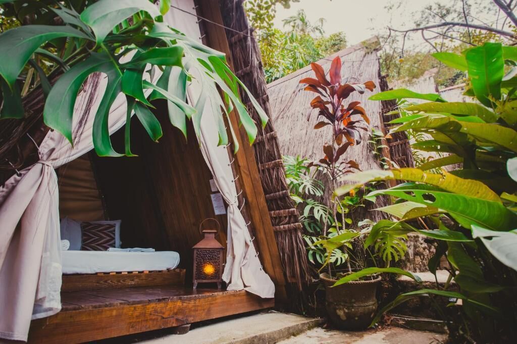A rustic wooden structure with a bed, a lantern, and various plants.