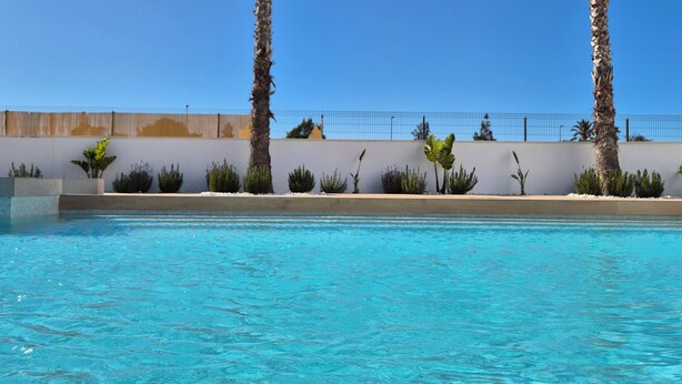 Piscina azul cristalina con dos palmeras y una pared blanca al fondo.