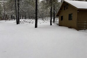 A snow-covered forest with a wooden cabin.