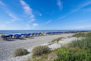 In Strandnähe
