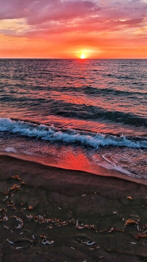 Playa