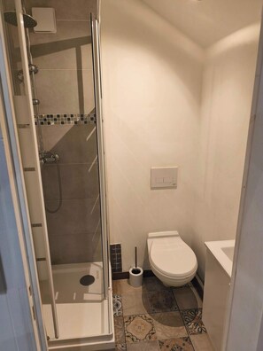 Shower, shampoo - Central Charleville-Mézières Studio with Parking (Charleville-Mézières)