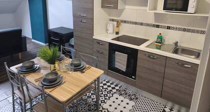 Appartement Centre-Ville avec Parking Privé