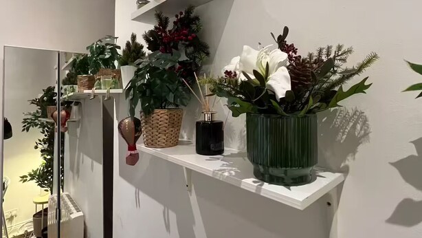 Un couloir aux murs blancs, avec un miroir et des étagères où sont disposées différentes plantes en pot.