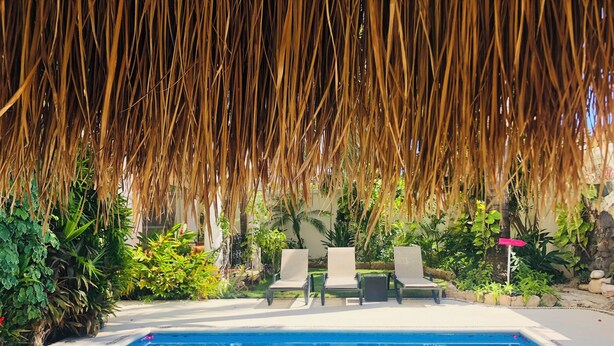 Une piscine dotée de chaises longues et agrémentée de plantes tropicales.