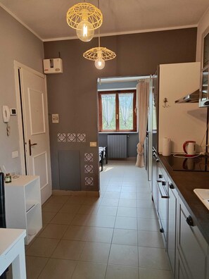 Fridge, oven, dishwasher, electric kettle