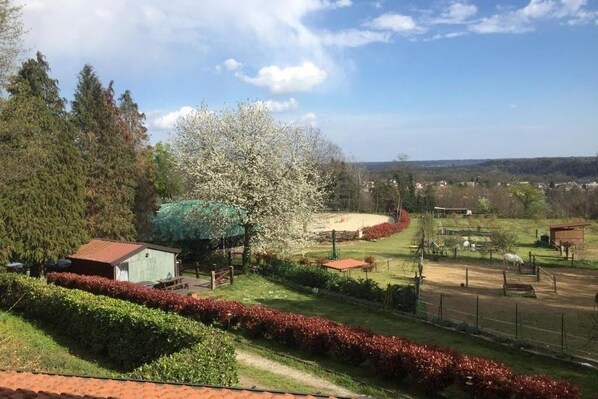 A rural landscape with a green building, a large tree, and a fenced area. - Farmhouse Tenuta Blueberry - Glicine near Milan-Malpensa (Cascinetta)