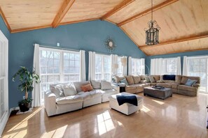 Télévision, cheminée, jeux vidéo, espaces bureaux