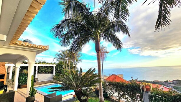 A pool area with a palm tree, a view of the sea, and a building with a red roof. - Great vacation home in Madeira, ocean view, in Ponta-do-Sol, heated pool (Ponta do Sol)