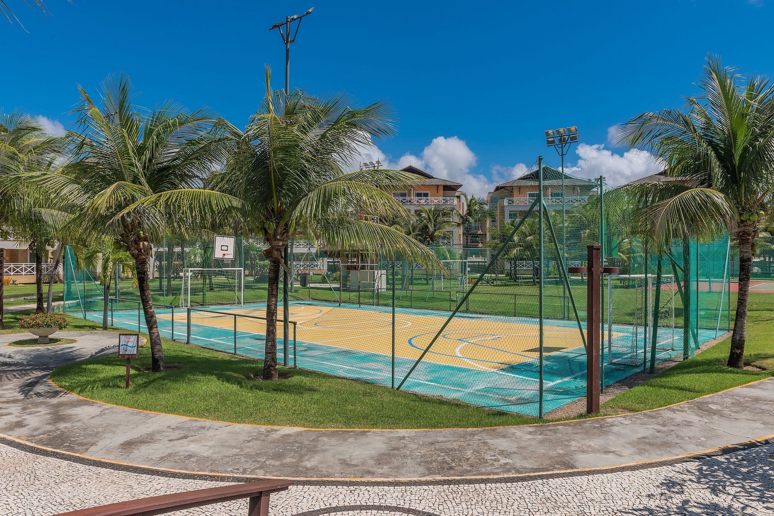 A basketball court surrounded by palm trees and a fence, with buildings in the background.