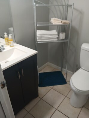 Shower, hair dryer, towels, toilet paper - 3-bedroom house in perfect Nashville with cool AC and charm (Nashville)