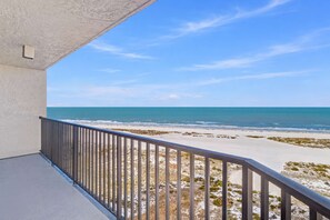 Property grounds - Waterfront Resort Gulf View | Pool & Beach Access (Clearwater)