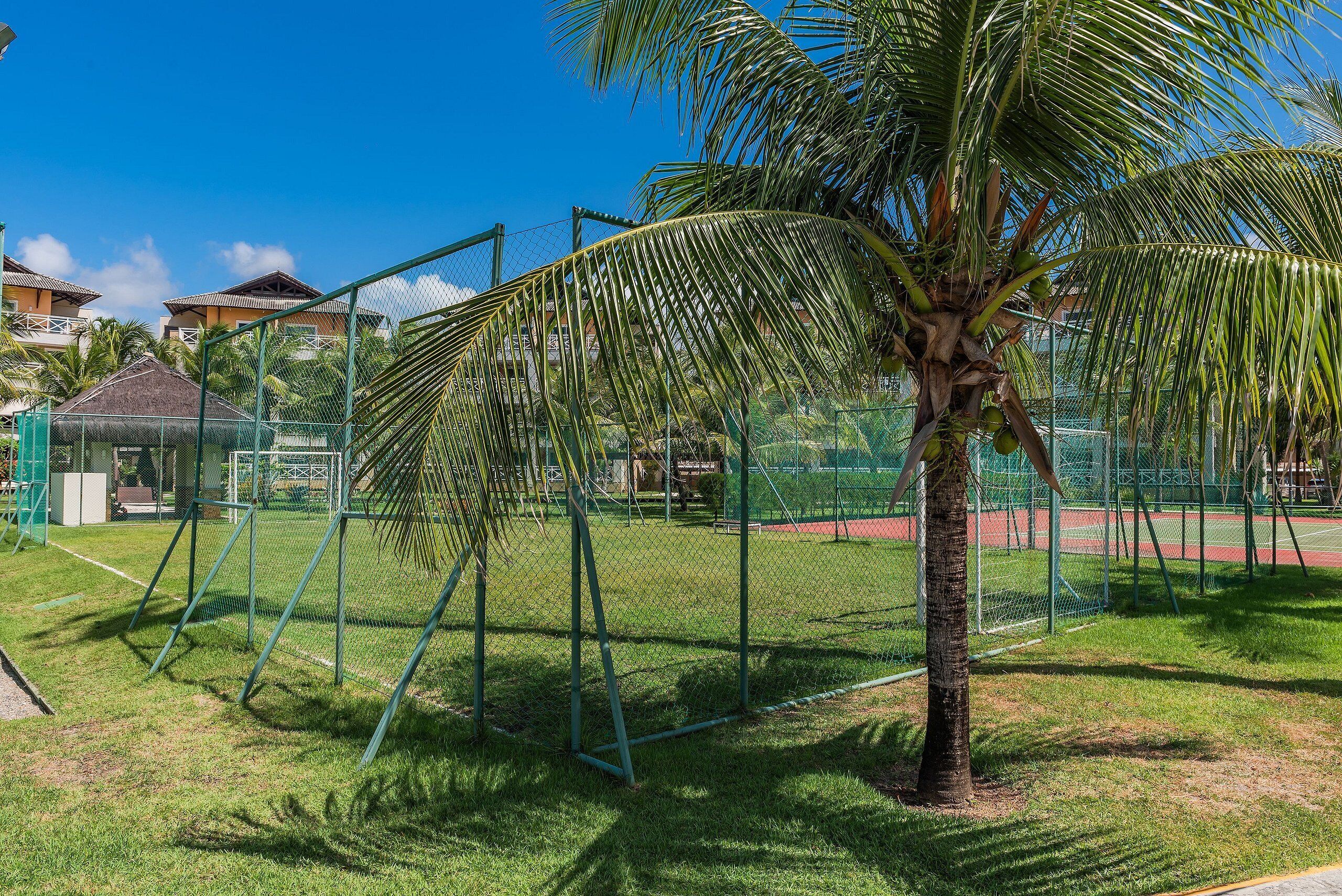 Zona deportiva cercada con una palmera, una estructura de techo de paja y casas al fondo.