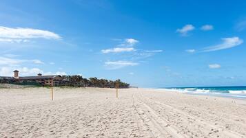 Apartamento básico | Praia