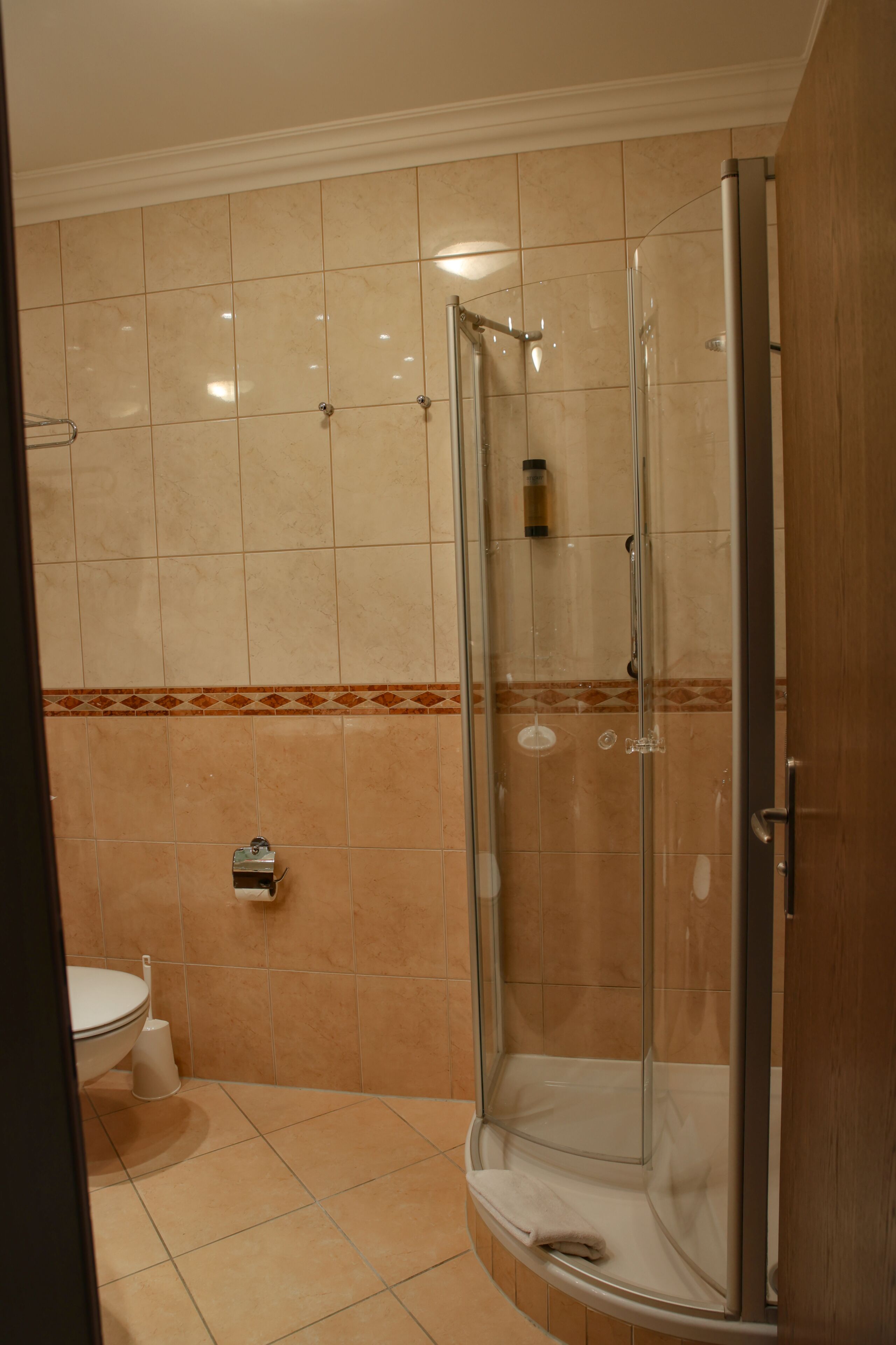 A bathroom with a glass-enclosed shower, a toilet, and a towel rack.