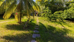 A garden path with palm trees and shrubs. - Casa com Piscina em Coqueiro de Arembepe (Camaçari)