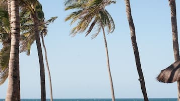 Apartamento básico | Praia