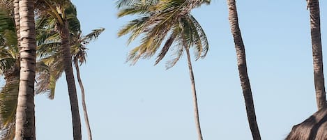 Basic Apartment | Beach