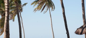 VG Sun #109 - Apartment in Cumbuco by Carpediem