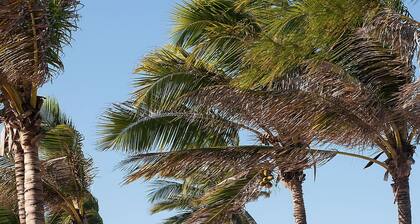 VG Sun #109 - Apartment in Cumbuco by Carpediem