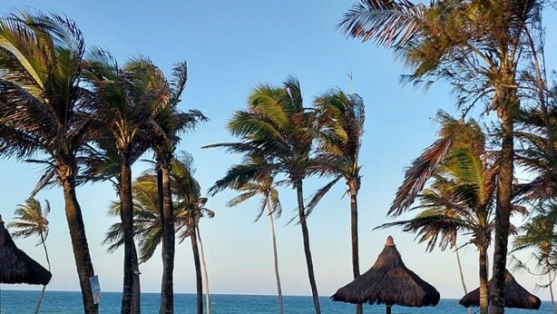 A wooden boardwalk leading to a beach with palm trees and thatched umbrellas. - VG Sun #310 - Quadruple Apartment by Carpediem (Caucaia)
