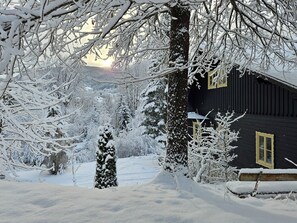 Property grounds - New large premium vacation apartment in the Hinterstoder ski/hiking area with terrace (Hinterstoder)